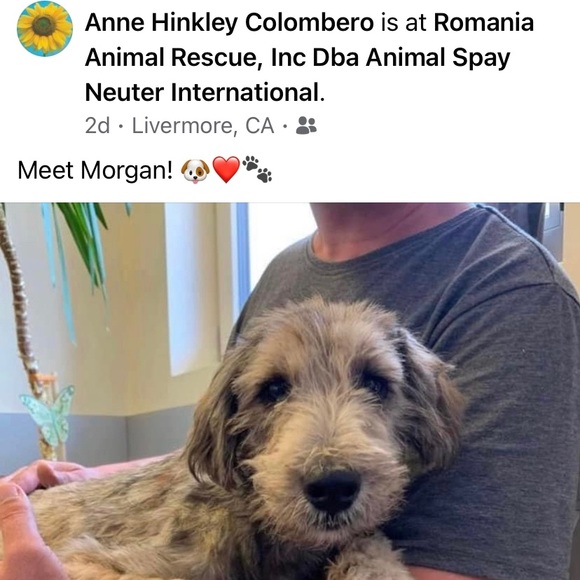 CrAzy Dog Lady! 🐶💖🐾 - Picture 9 of 16